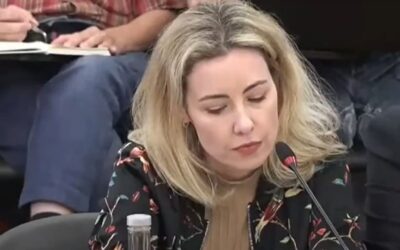 Advogado diz que mãe das gémeas foi alvo de “mentira calculada” e “assassinato mediático”