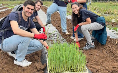 AbbVie apoia SEMEAR e doa 100 cabazes à Academia Johnson em ação de voluntariado