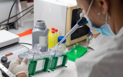 Estão abertas as inscrições para o Mestrado em Nutrição Humana e Metabolismo na NOVA Medical School