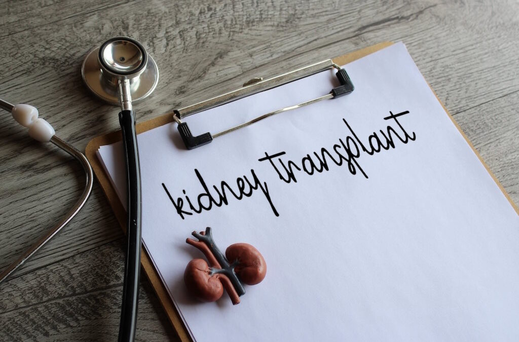 Portugal está entre os países europeus que mais realizam transplantes renais