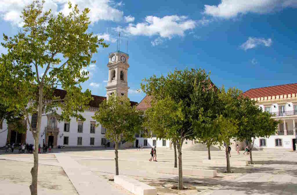 Financiamento de 9,7 milhões vão impulsionar quatro áreas de investigação na Universidade de Coimbra