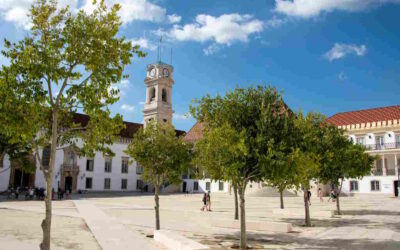Financiamento de 9,7 milhões vão impulsionar quatro áreas de investigação na Universidade de Coimbra
