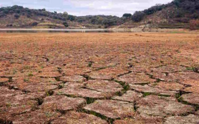Alterações climáticas podem matar até 14,5 milhões até 2050