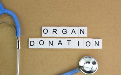 Mais de 450 pessoas transplantadas no 1.º semestre do ano