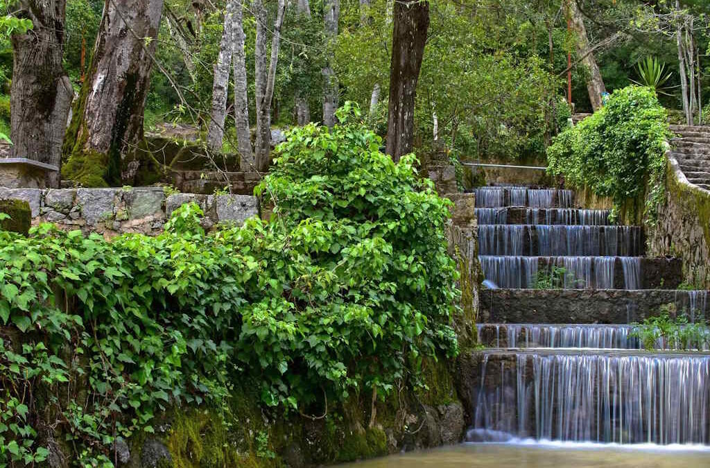 Qualificação de nova água mineral natural em Monte Real em análise pela DGEG