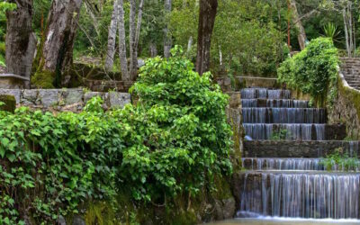 Qualificação de nova água mineral natural em Monte Real em análise pela DGEG