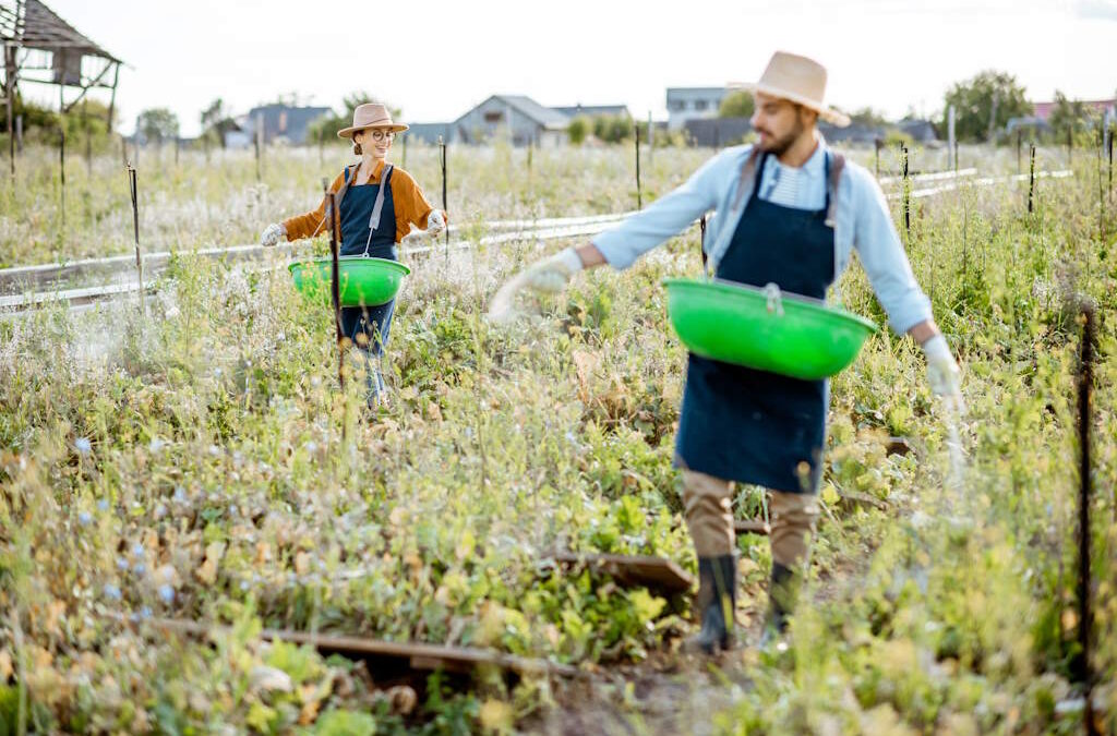 Pacto Climático Europeu quer agricultura e alimentação no planeamento do território