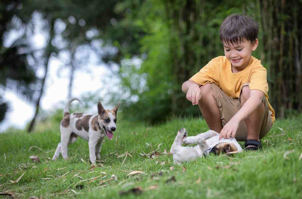 Crescer em contacto com animais reduz o risco de alergias