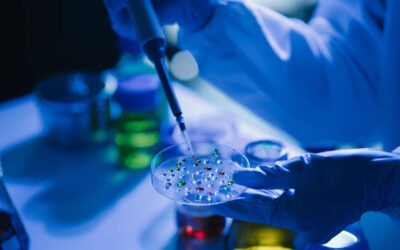 UA cria micropartículas com origem humana para aplicar na área da biomedicina