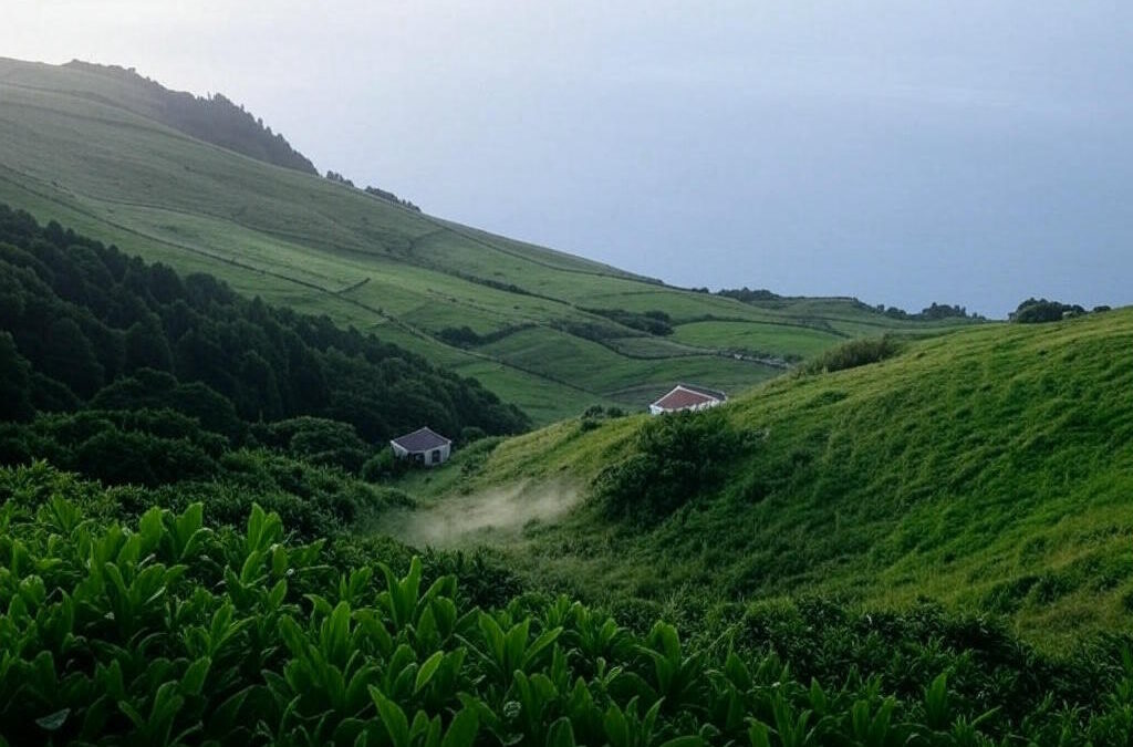 IL/Açores questiona Governo Regional sobre monitorização de gás radão