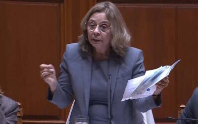 Ministra considera “curioso” que oposição nunca coloque em causa gestão dos hospitais