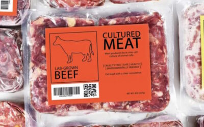 Revolução na produção de carne cultivada: Adeus aos antibióticos