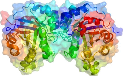 Nova descoberta promete revolucionar imunoterapia no tratamento do cancro