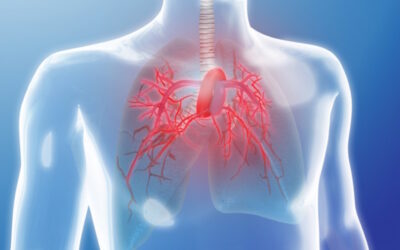Estudo Revela Desconhecimento Alarmante sobre Hipertensão Arterial Pulmonar em Portugal