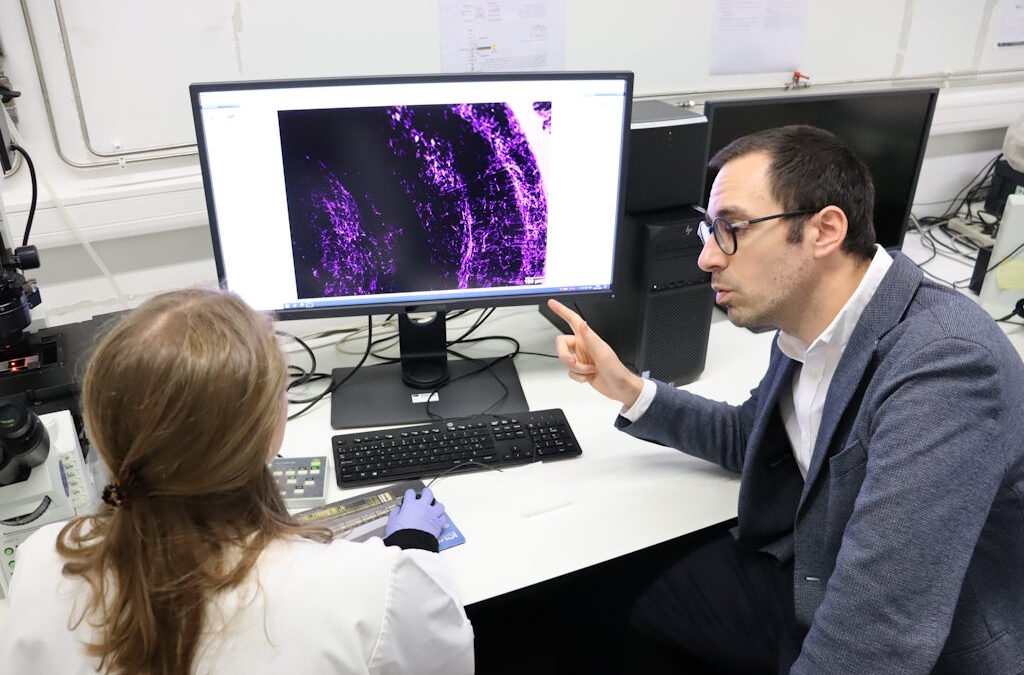 Tiago Gil Oliveira vence Prémio BIAL de Medicina Clínica 2024 com investigação sobre Alzheimer