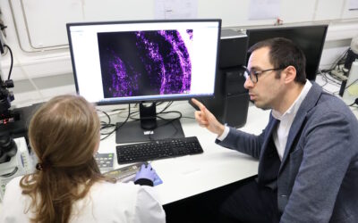 Tiago Gil Oliveira vence Prémio BIAL de Medicina Clínica 2024 com investigação sobre Alzheimer