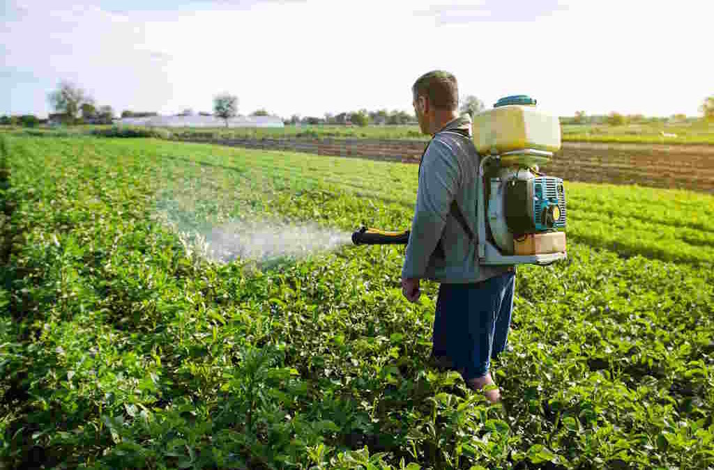 Estudo macro revela que pesticidas são responsáveis pela crise da biodiversidade