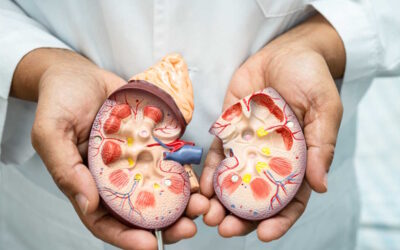 Protótipo de vacina com resultados promissores para cancro renal avançado