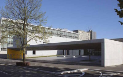 FMUP procura voluntários para ensaio sobre uso de algas na saúde cardíaca e vascular