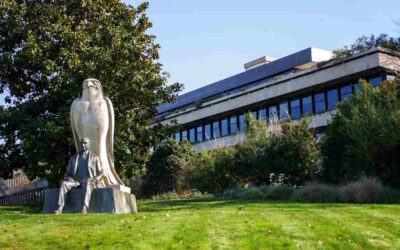 Gulbenkian vai apoiar projetos inovadores de cuidados domiciliários