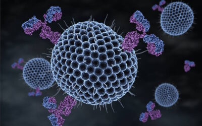 MOG e GAT unem esforços na luta contra o HPV: Apelo à vacinação e rastreio
