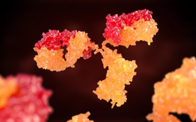 Publicado primeiro consenso nacional sobre inflamação tipo 2 em Portugal