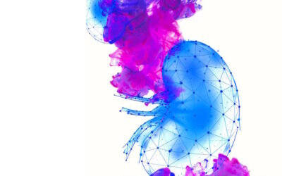 NEPHRODetect: Nova Estratégia para Combater Subdiagnóstico da Doença Renal Crónica