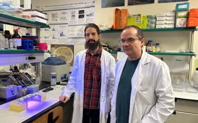 Novo medicamento ativado por luz azul promete revolucionar o tratamento da psoríase