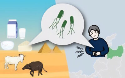 Nova estirpe de E. coli preocupa investigadores