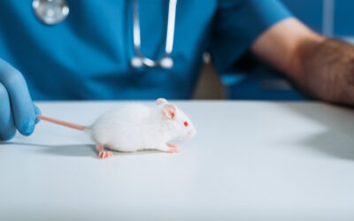 Descoberta pioneira: diterpenos promovem regeneração neuronal funcional