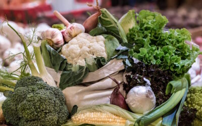 Défice de Vitamina K Ligado a Declínio Cognitivo
