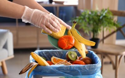 Portugal integra iniciativa europeia para cortar 30% do desperdício alimentar