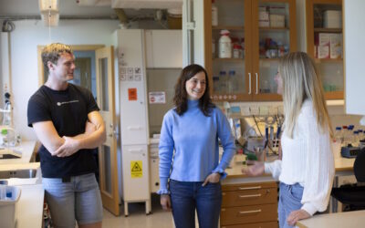 Grupo de neurónios no tronco cerebral controla perda de peso sem náuseas