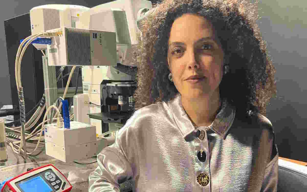 Financiamento de 250 mil euros impulsiona estudo sobre a interação dos sistemas vascular e imunológico no cérebro de recém-nascidos