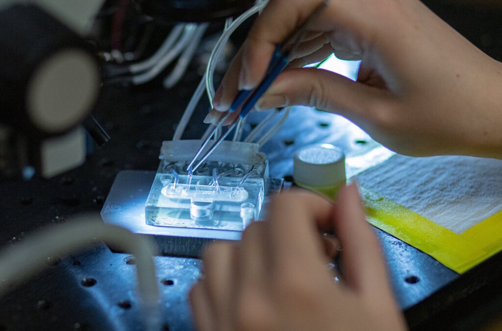 Investigadores desvendam como canais iónicos “memorizam” e contribuem para a aprendizagem