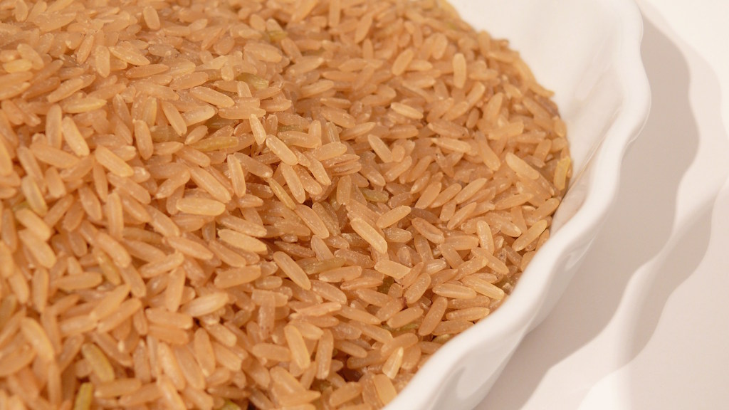 Dieta rica em clara de ovo e arroz afeta fortemente bactérias intestinais
