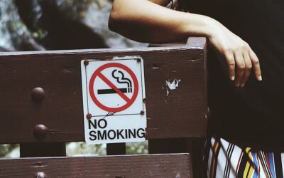 Redução de Danos do Tabaco na OCDE: Estratégias e Desafios