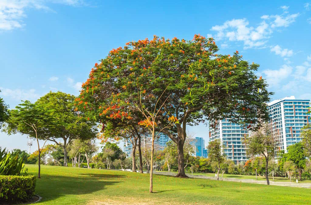 Cidades resilientes exigem natureza: estudo internacional aponta caminhos