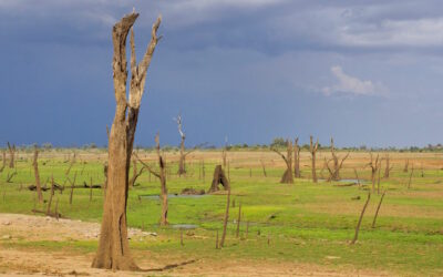 Alterações climáticas agravam resistência a medicamentos nos países pobres