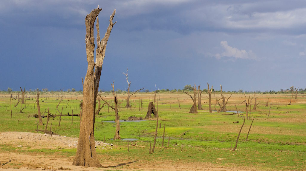 Alterações climáticas agravam resistência a medicamentos nos países pobres
