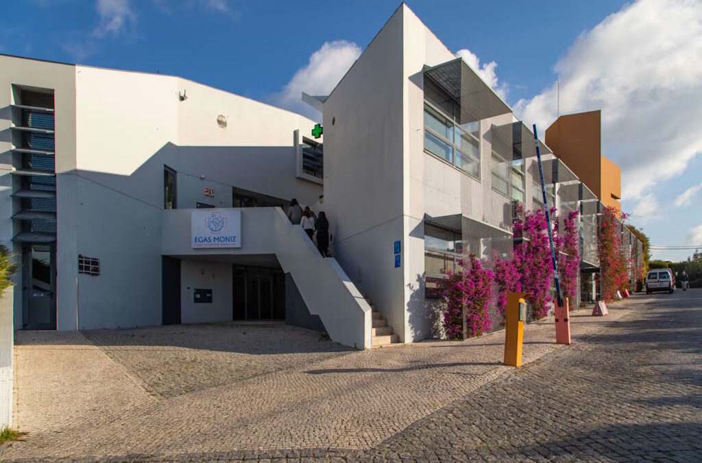 IX Seminário sobre Violência Doméstica reúne especialistas em Lisboa para debater desafios atuais