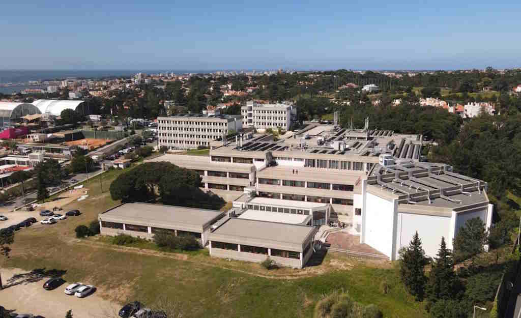 ESHTE aposta na saúde mental e expande apoio psicológico a toda a comunidade académica
