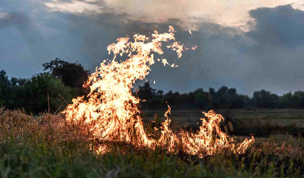 Cerca de 50 concelhos de oito distritos em perigo máximo de incêndio