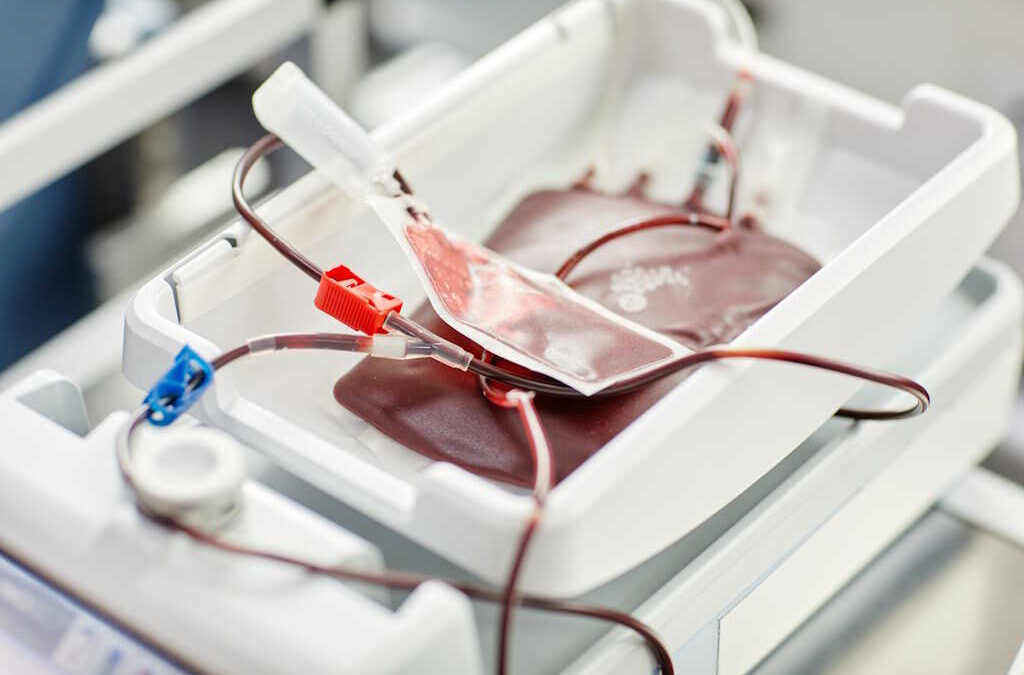 Falta de sangue e de dadores jovens é tema de encontro com mais de 790 pessoas na Feira